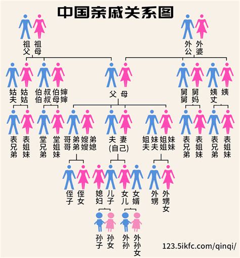 叔公的兒子|中国人亲戚关系图表